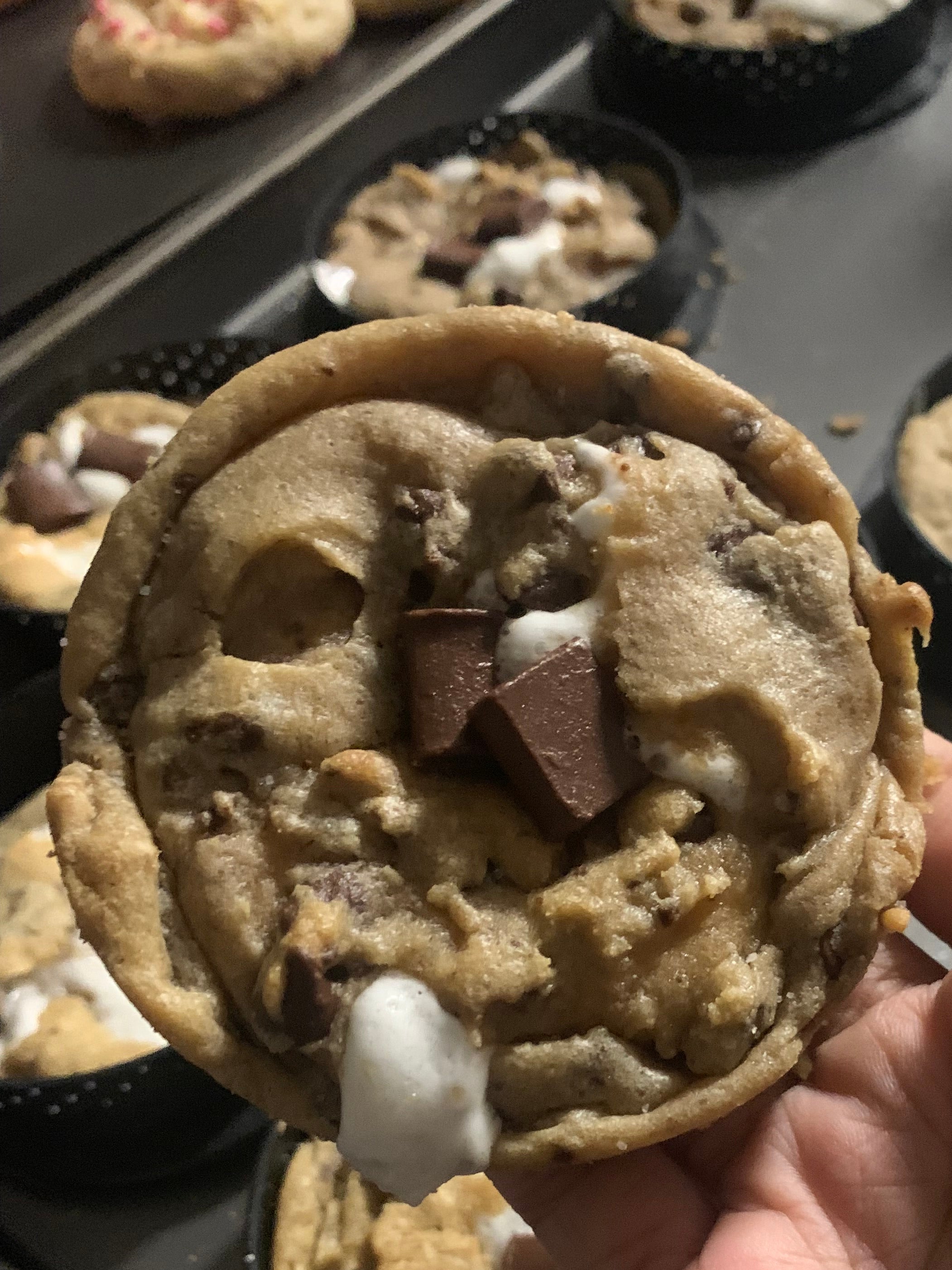 S'mores Please!